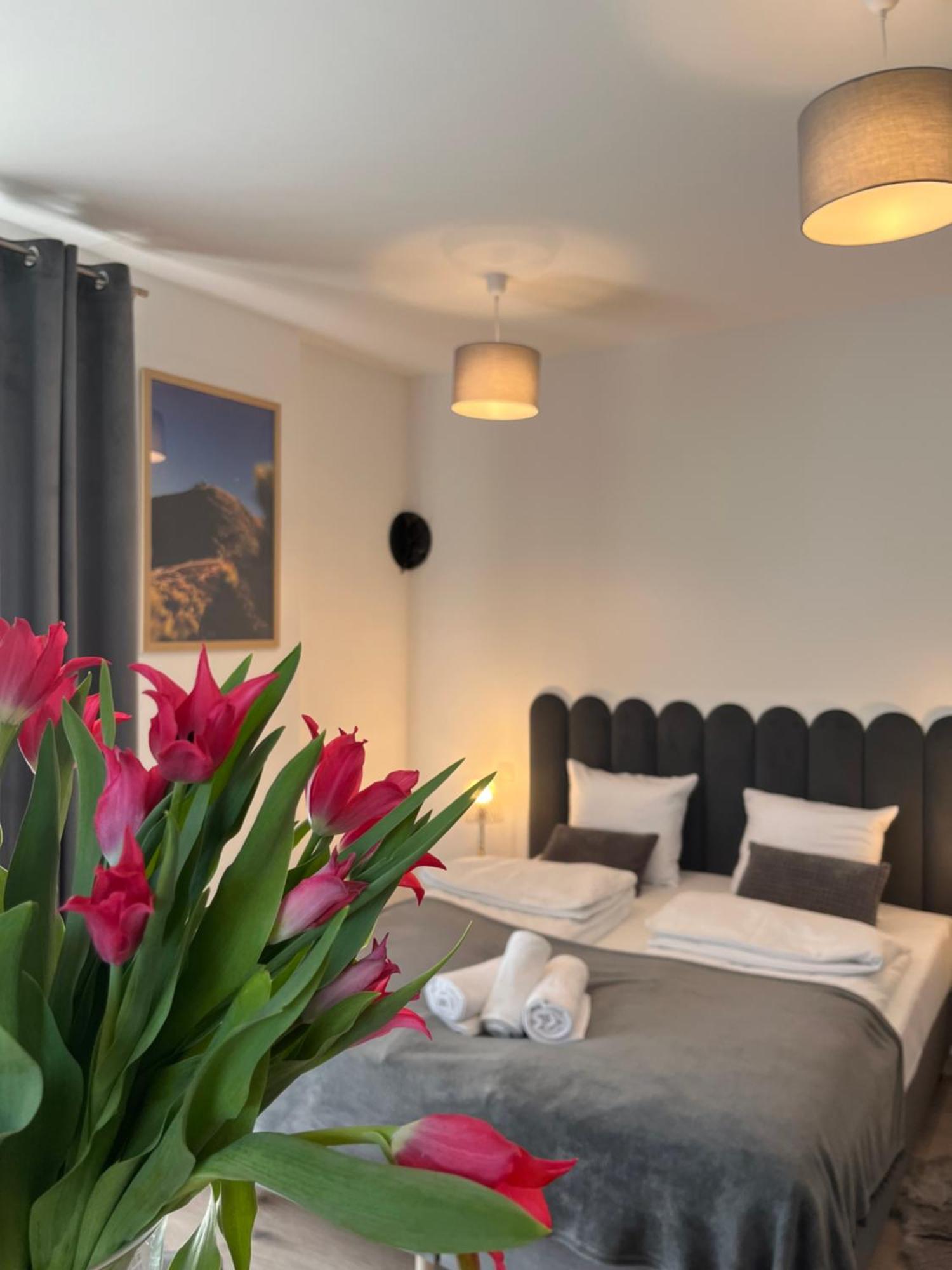 Karkonoskie Widoki Apartamenty Karpacz Exterior foto
