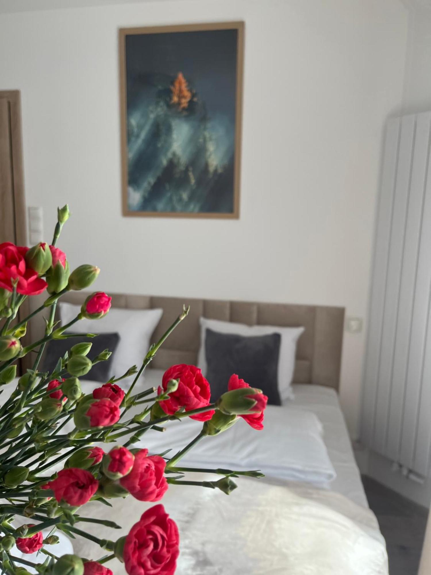 Karkonoskie Widoki Apartamenty Karpacz Exterior foto