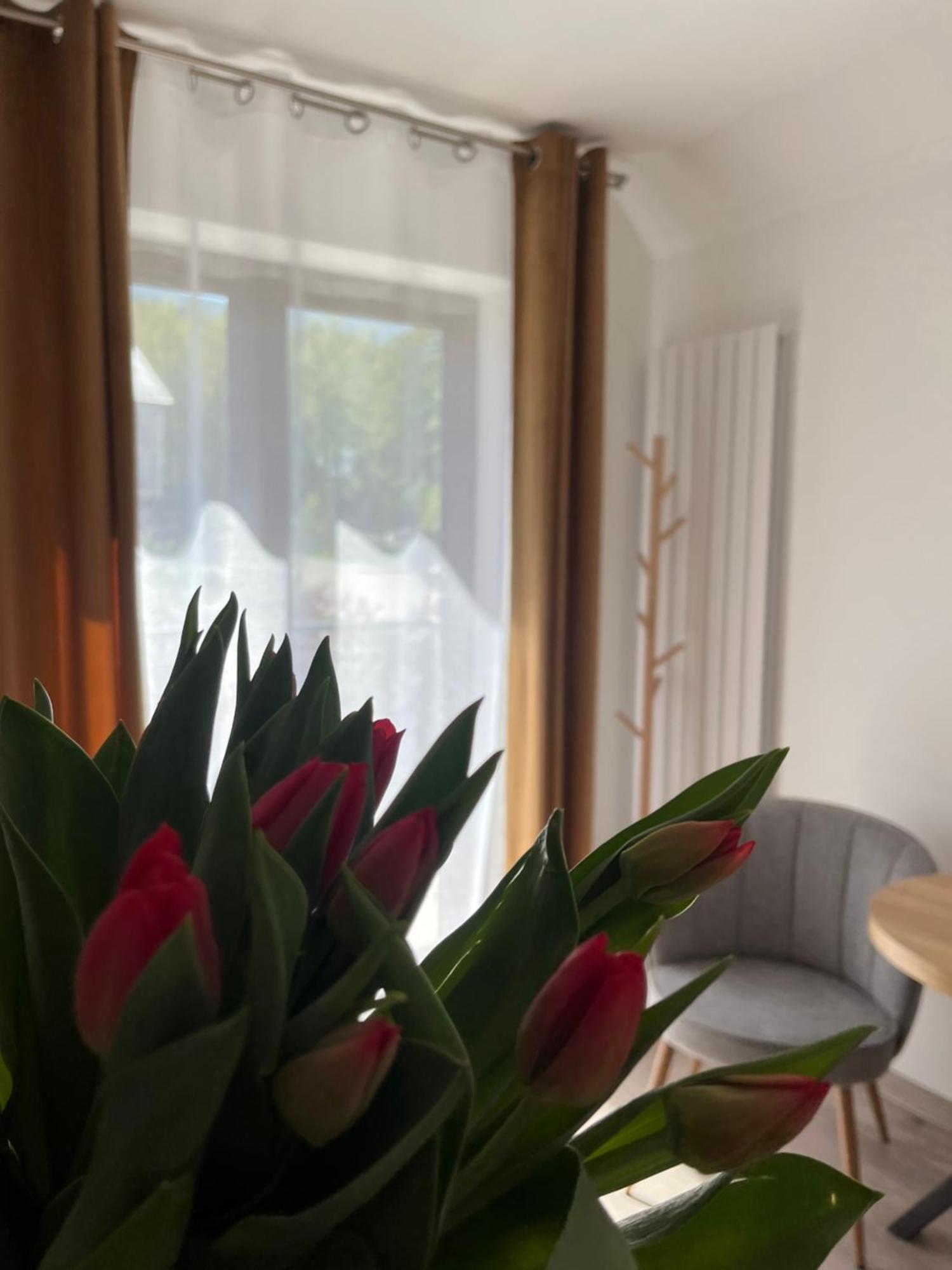 Karkonoskie Widoki Apartamenty Karpacz Exterior foto