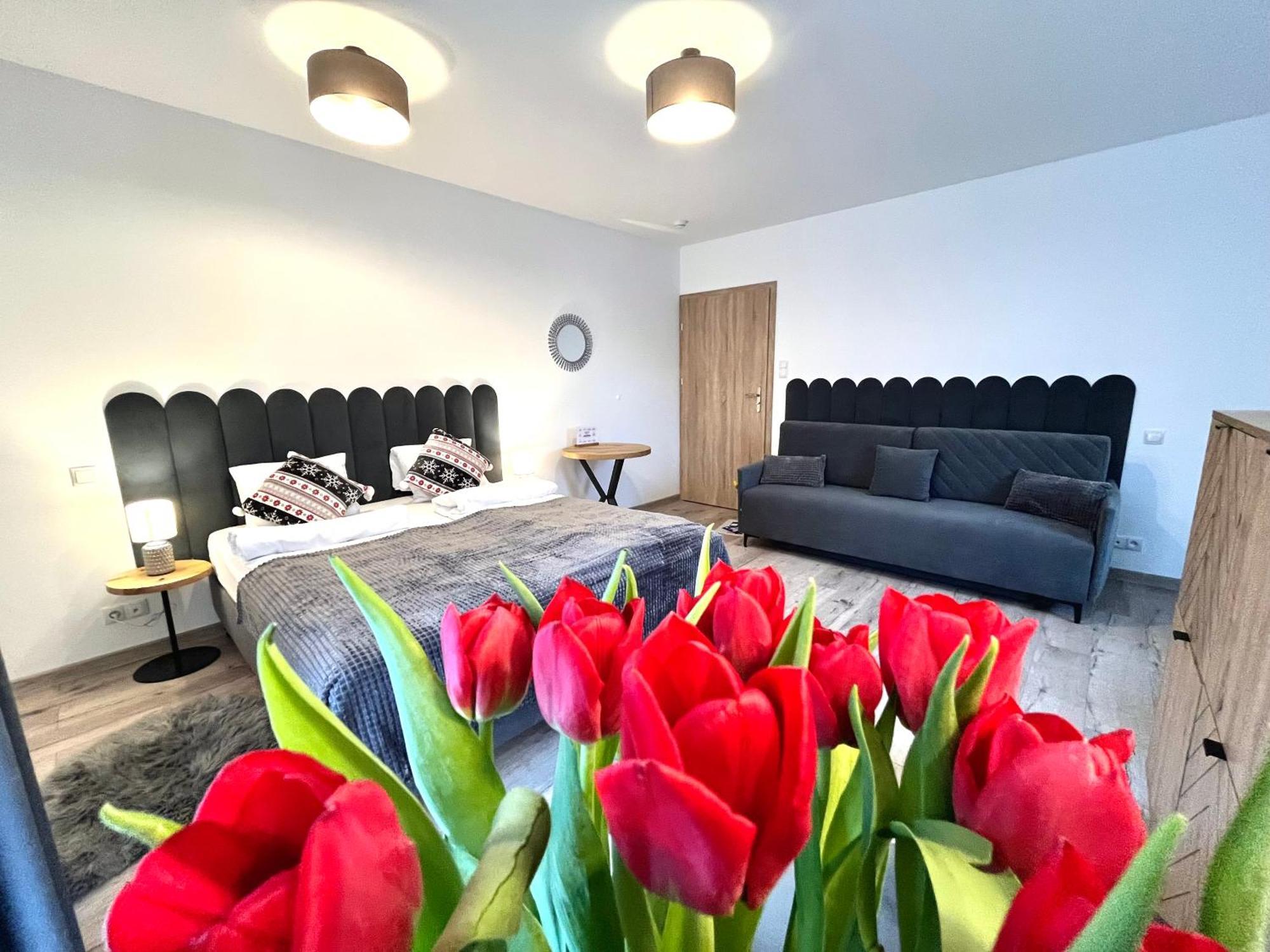 Karkonoskie Widoki Apartamenty Karpacz Exterior foto